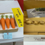 新座産のニンジンや落花生を使ったアイデア作品も展示されました